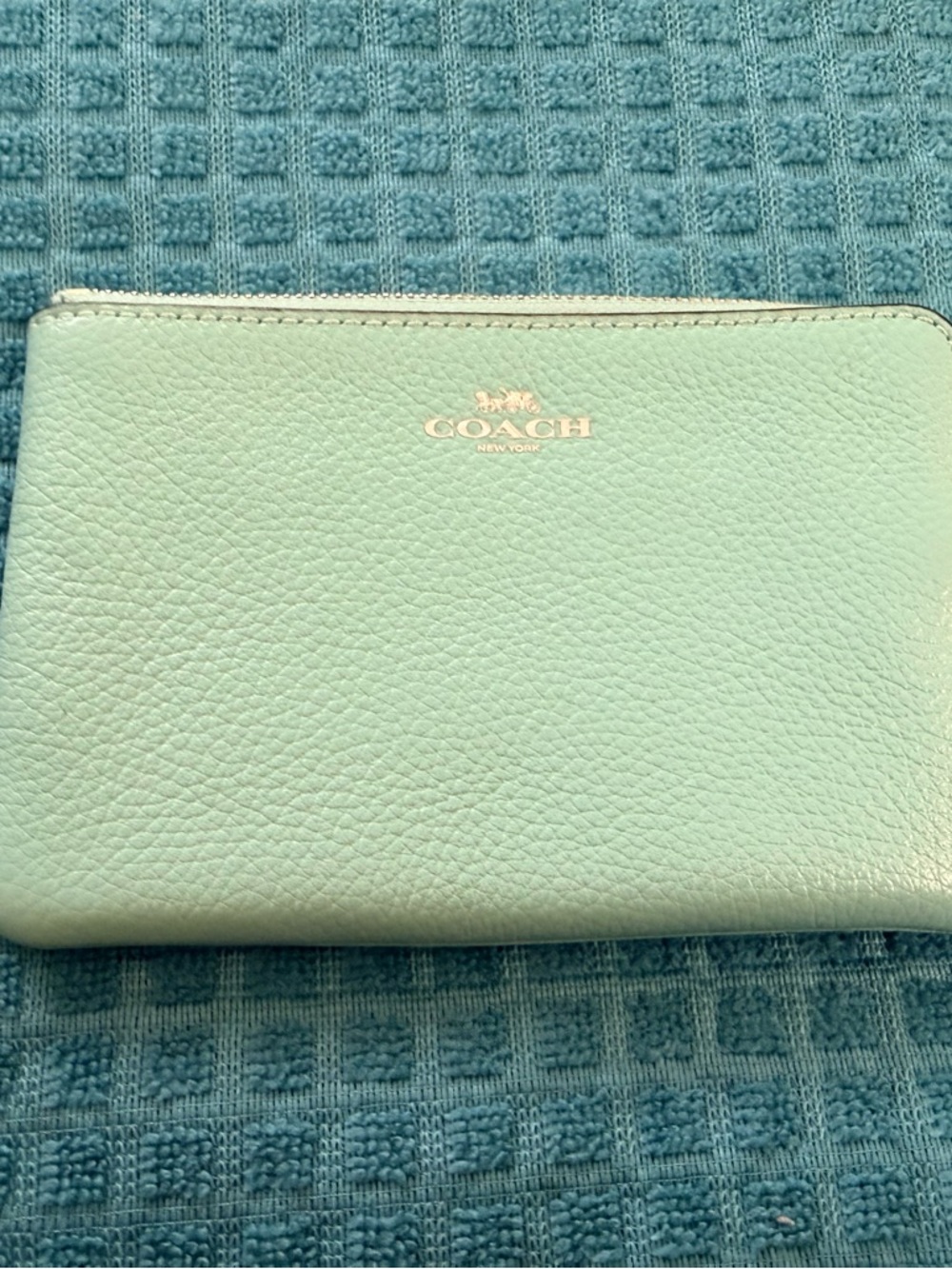 Coach Pebbled Leather Cosmetic Pouch in Mint Green with Gold Logo